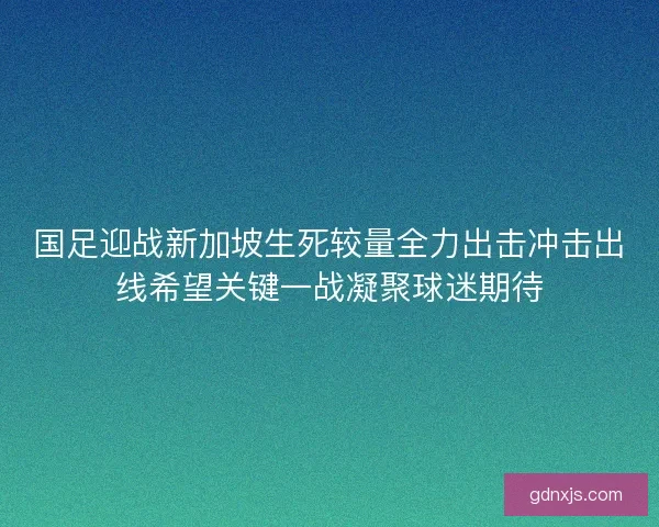 国足迎战新加坡生死较量全力出击冲击出线希望关键一战凝聚球迷期待