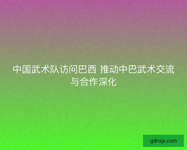 中国武术队访问巴西 推动中巴武术交流与合作深化 中国武术队访问巴西 推动中巴武术交流与合作深化